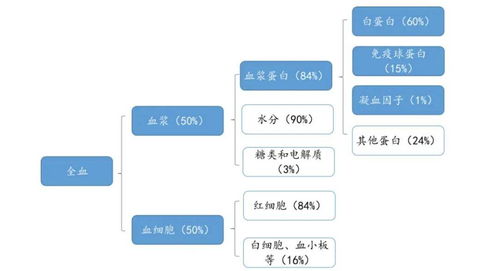 十一省聯動出擊 血液制品與計算機軟硬件開發領域的深度整治與創新突圍