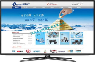 閔行網站建設與網絡開發 打造專業、高效的在線平臺